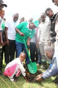 Governor Barchok, CS Bore spearhead the national tea planting day in Chepalungu Forest